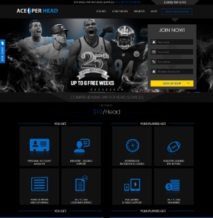 AcePerHead.com Sportsbook PPH Review