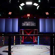 Nevada Suspends Combat Sports Events Until March 25