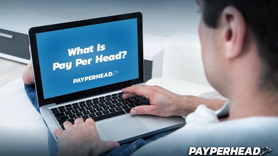 What is Pay Per Head?