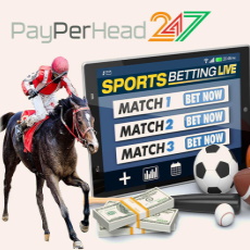 You Can Earn Big Profits as An Online Bookie